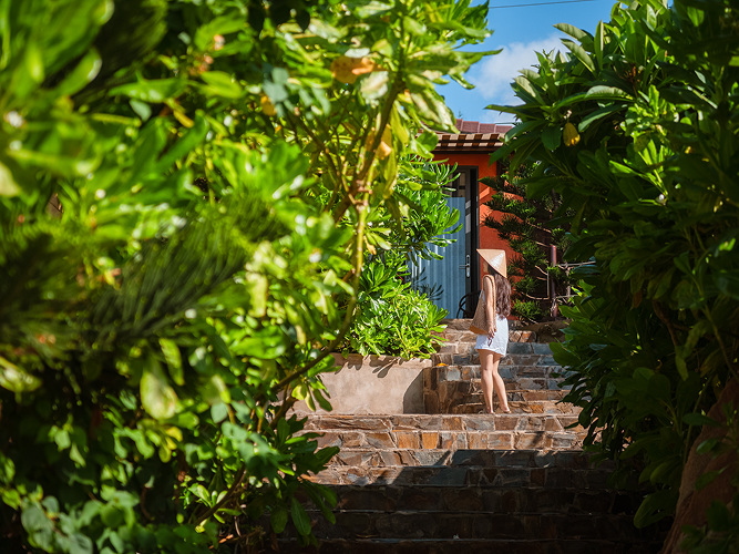 AdoraBay resort ground with plants