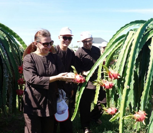 Visit Ke Ga organic fruit farm