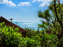 AdoraBay Deluxe Garden view.webp