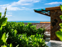 Premier Ocean View 2-2.webp